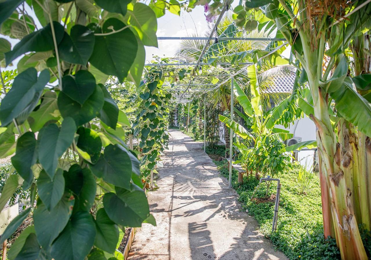Lua Farmstay บ่าเสียะ ภายนอก รูปภาพ